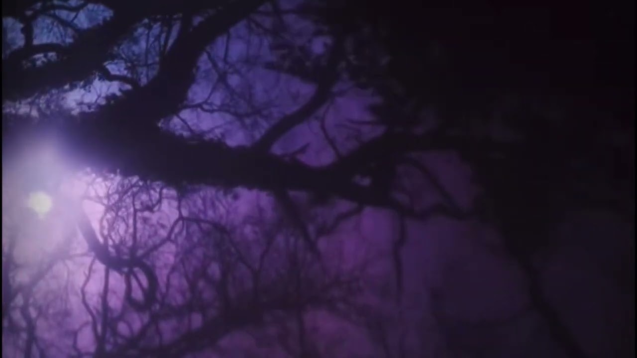 quiet the winter harbor - mazzy star (slowed)