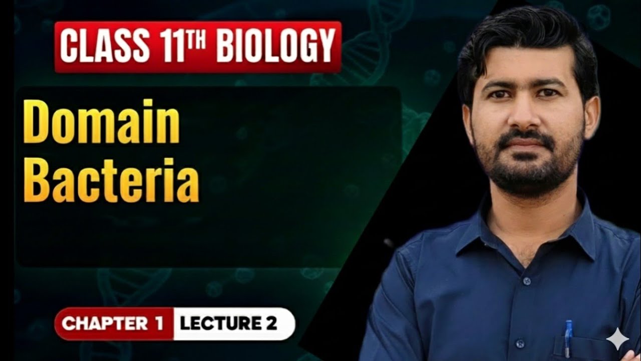 Domain Bacteria class 11 Biology Chapter 1 | Irtisams Biology