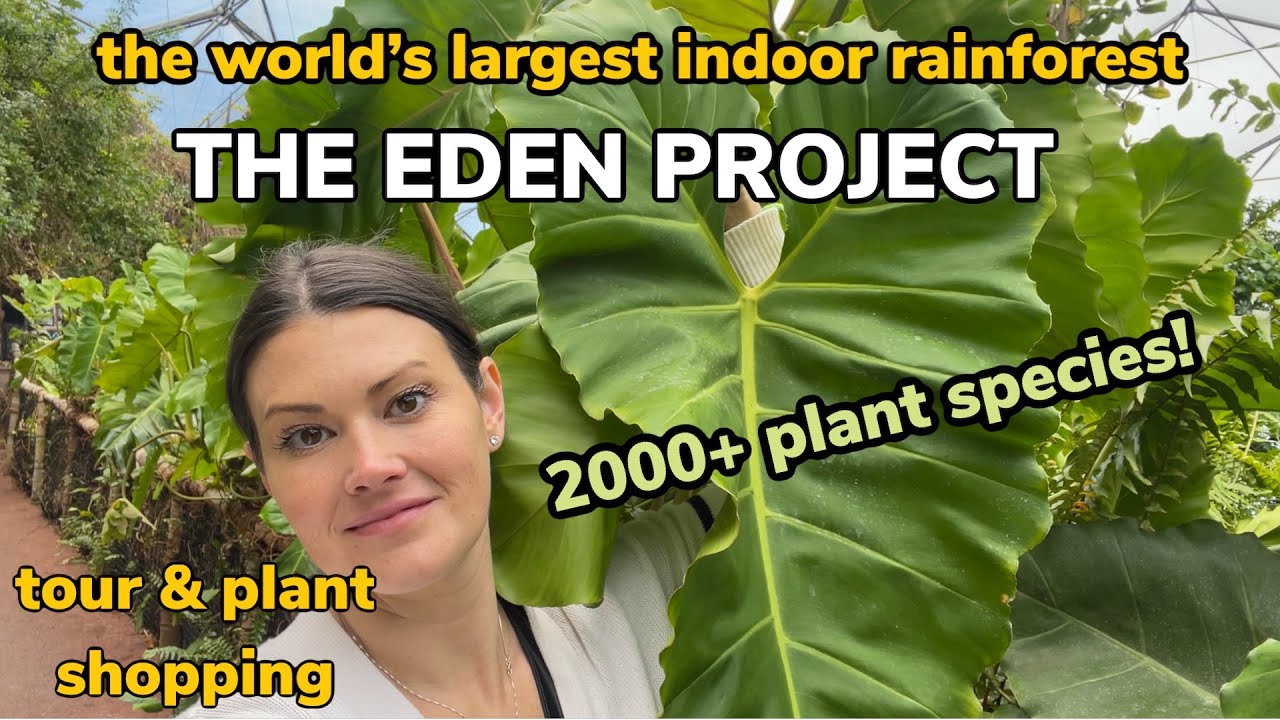 The World's LARGEST Indoor Rainforest! The Eden Project Plant Tour & House Plant Shopping