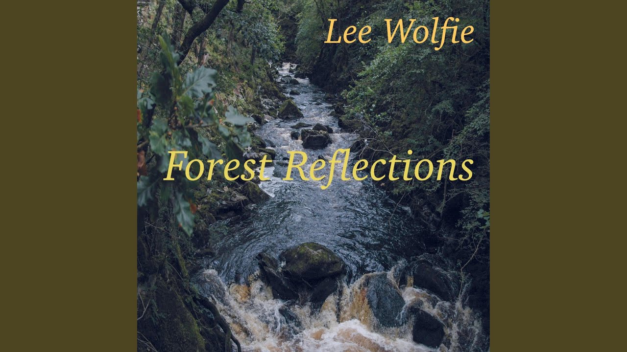 Forest Reflections