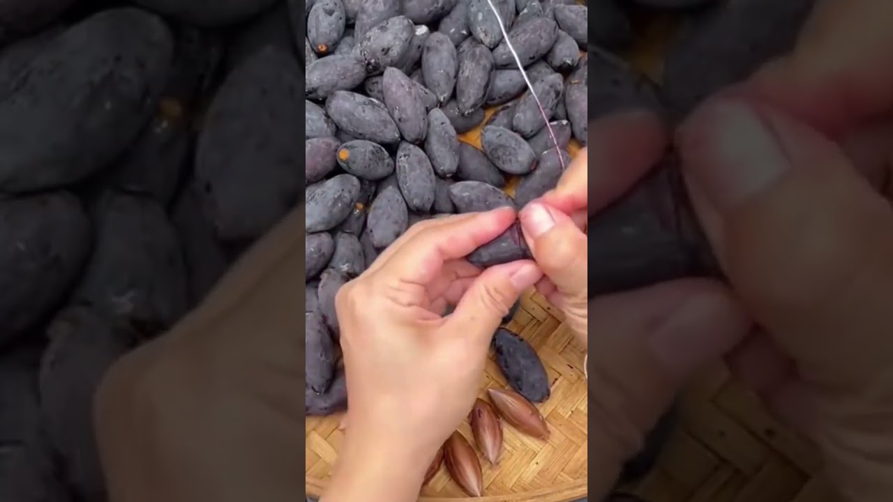 Osmanthus fragrans seed kernel extraction process