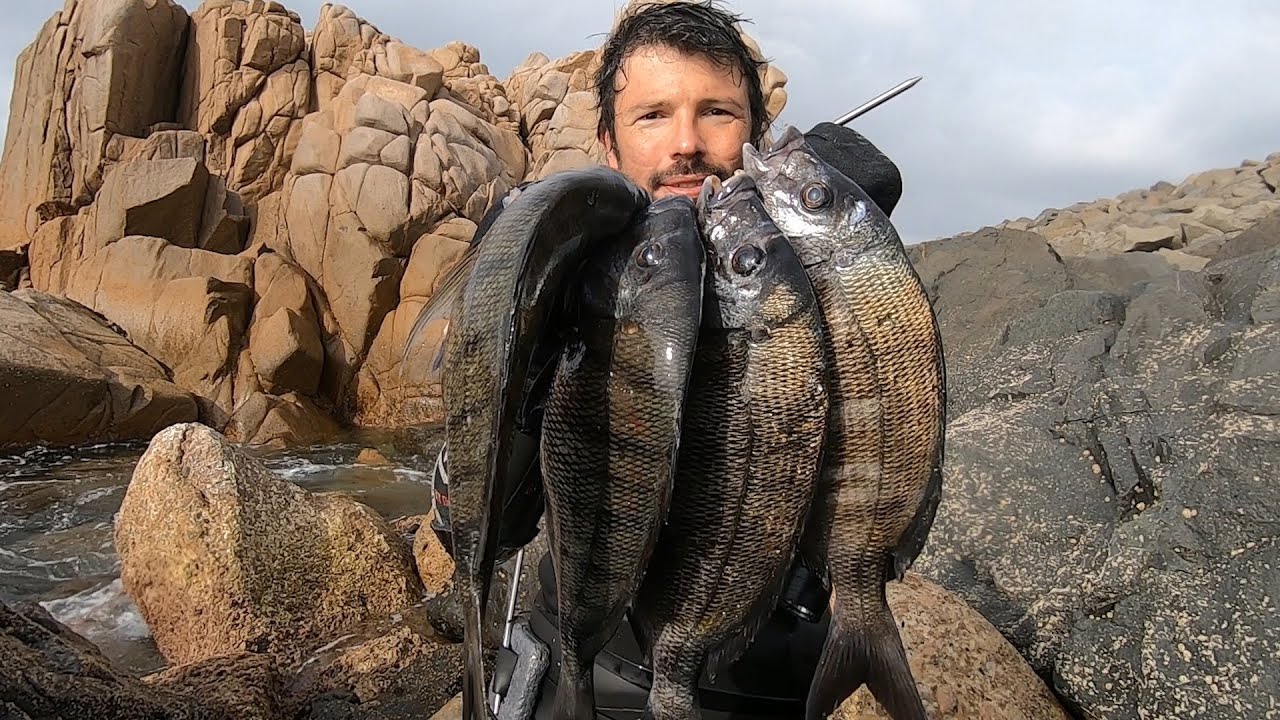 PESCA SUB - Um dia na espuma / A day in the sea foam