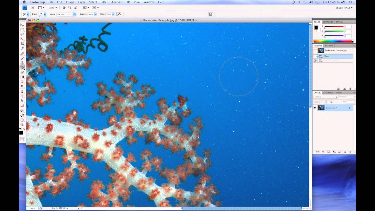 Backscatter Removal Tutorial