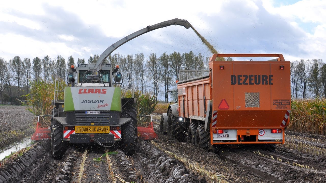 Claas Jaguar 870 - Loonwerken Willem Claeys - mais 2013