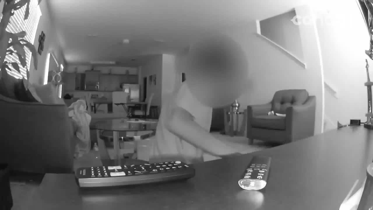Home burglary caught on camera