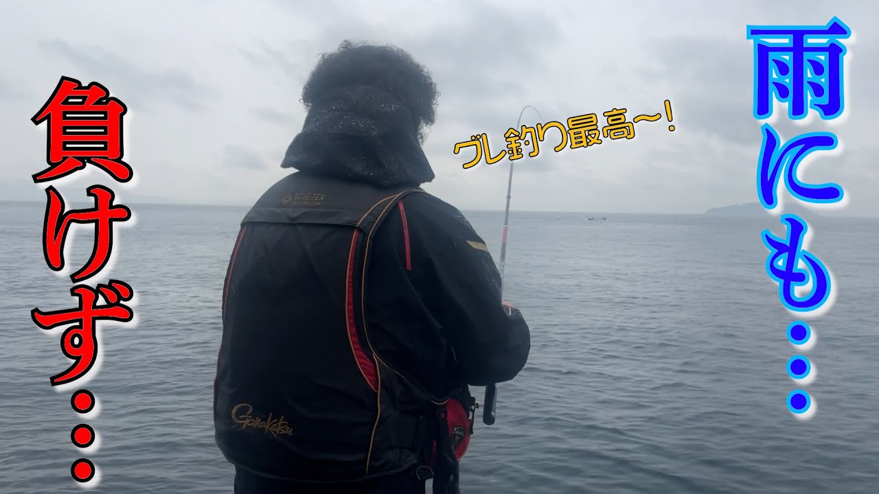 【グレ釣り】雨の中魚釣り！やっぱりグレ釣り最高〜！必殺ファインの3炸裂！