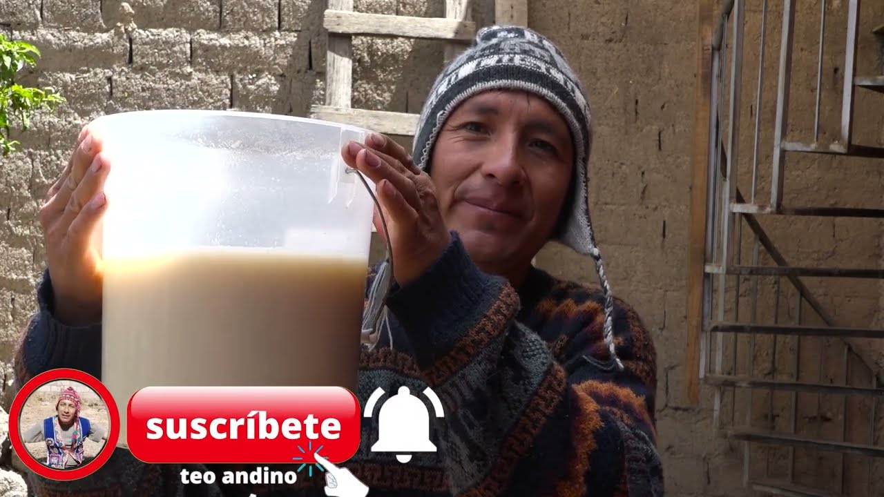 CHICHA BLANCA DE QUINUA | BEBIDA NATURAL INCAIKA  | AL ESTILO TEO ANDINO