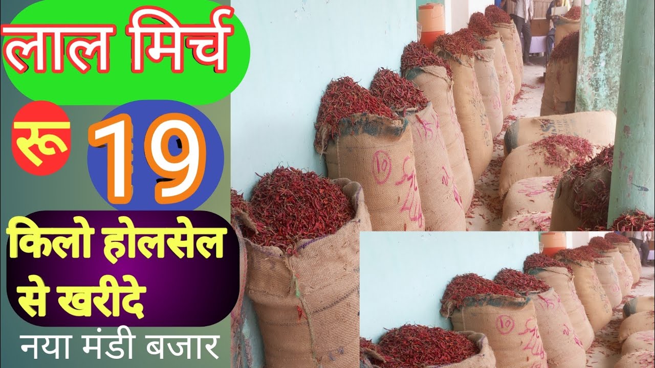 @लाल मिर्च होलसेल विजनेस कैसे शुरू करें|| red chilli business||lal mirch packing business|#mirchi