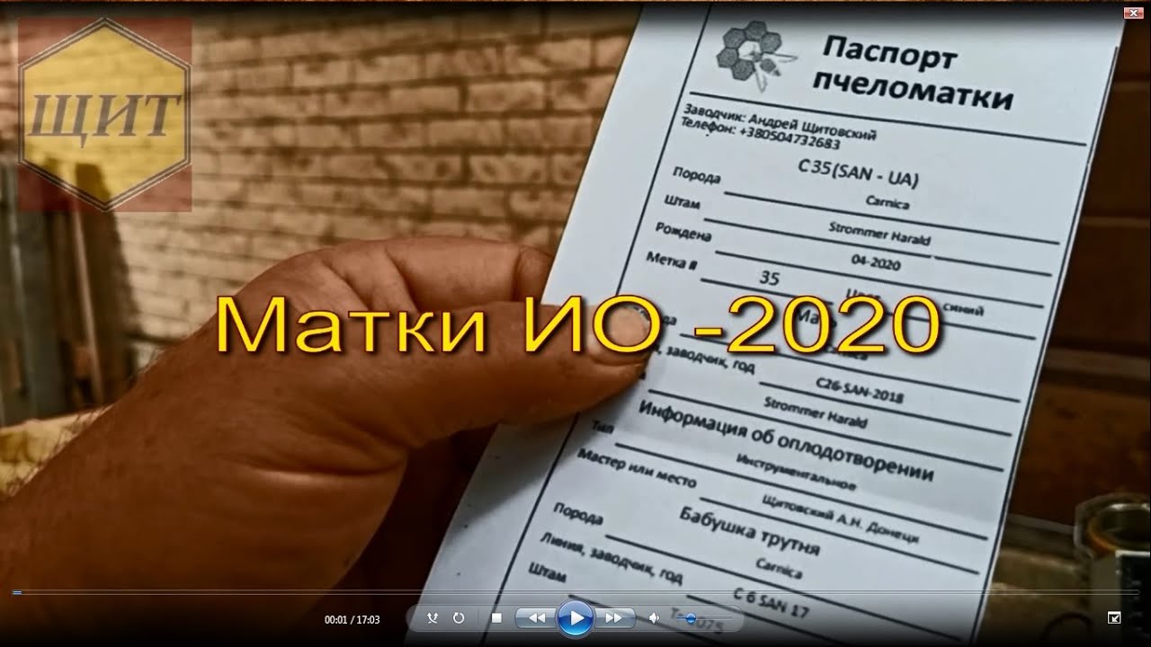 Матки  карника ИО -  2020