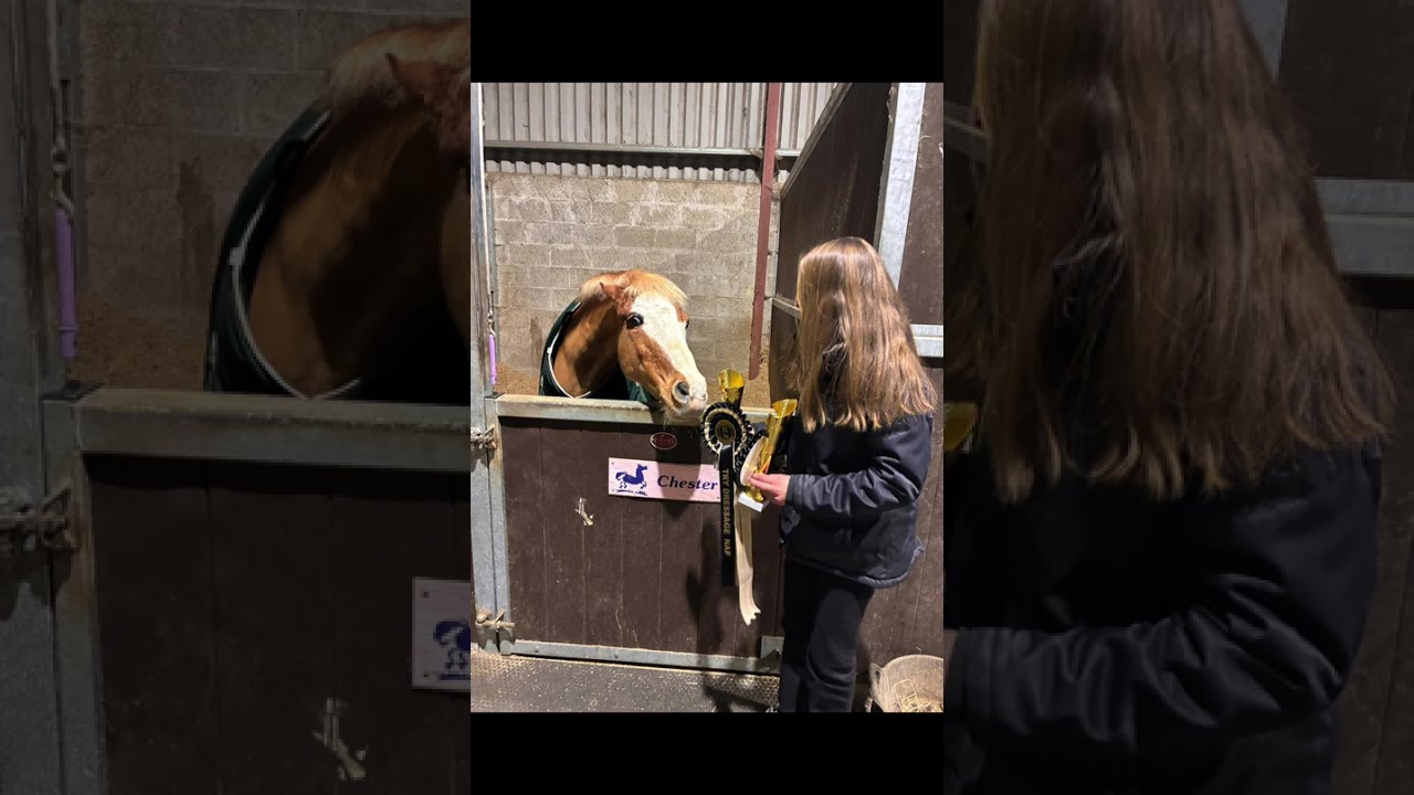 Dressage Ireland 2025-2026