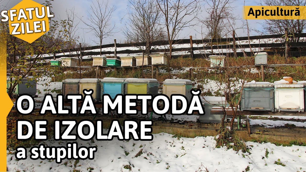 O ALTĂ METODĂ DE IZOLARE A STUPILOR [Sfatul zilei]