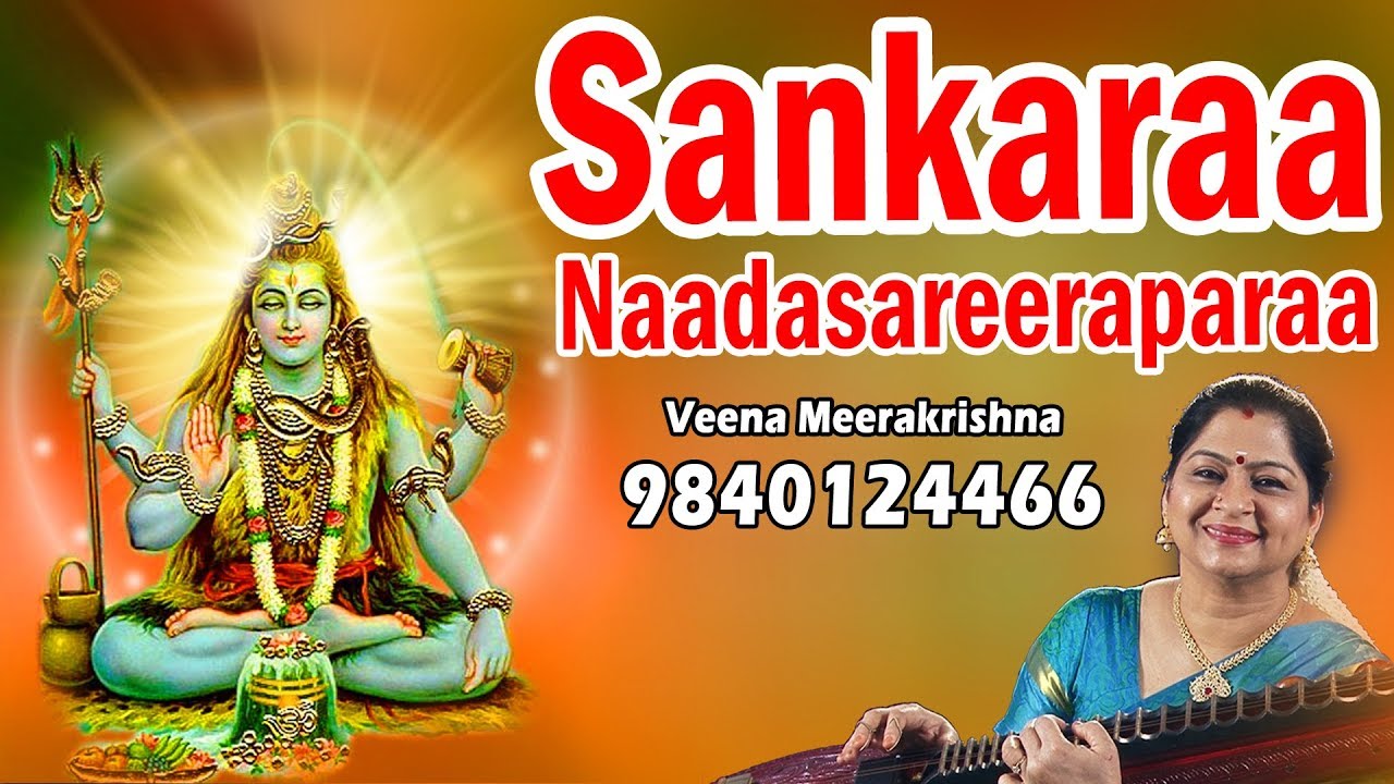 Sankaraa Naadasareeraparaa | శంకరా నాదశరీరాపరా | சங்கரா- film Instrumental by Veena Meerakrishna