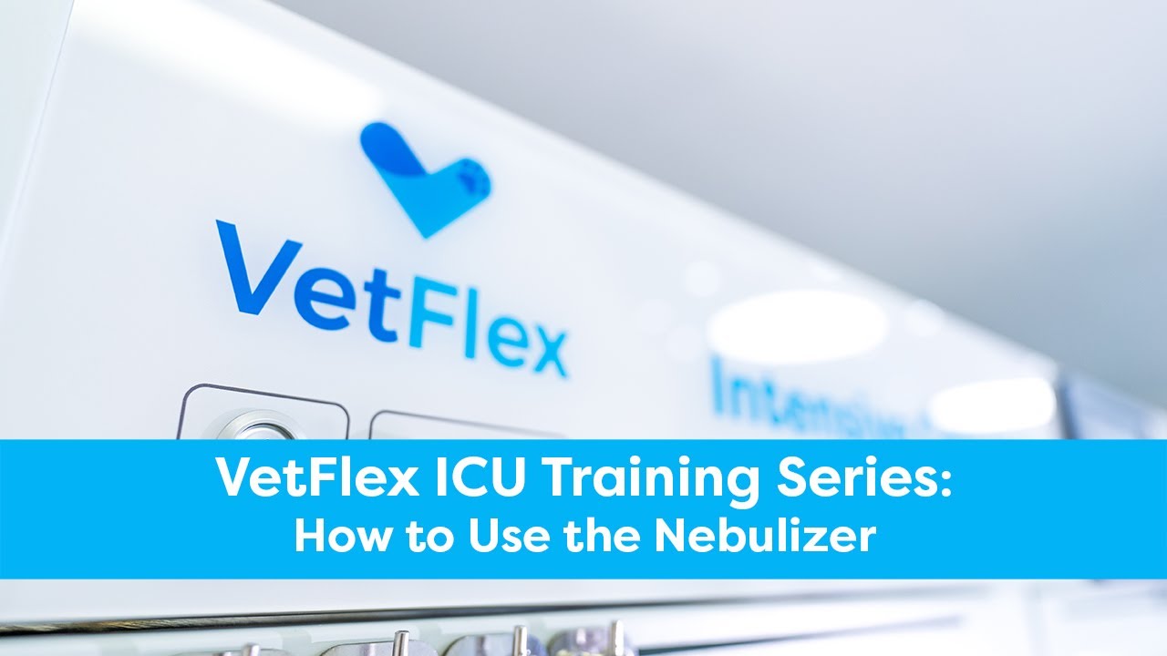 VetFlex ICU Training: How To Use the Nebulizer