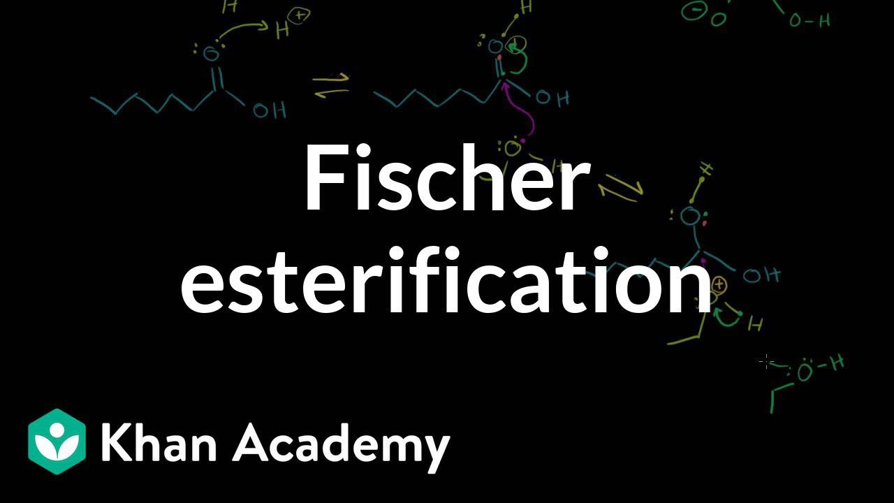 Fischer esterification | Carboxylic acids and derivatives | Organic chemistry | Khan Academy