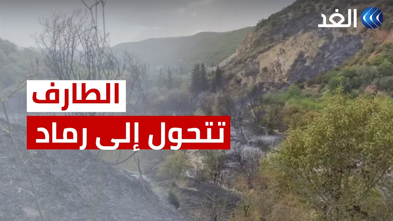 نفوق الحيوانات ودمار الأشجار.. كاميرا الغد ترصد مخلفات الحرائق في ولاية الطارف الجزائرية
