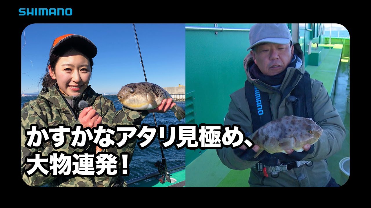 【おとな釣り倶楽部】東京湾フグ釣り、コモンにヒガン連発と美味！
