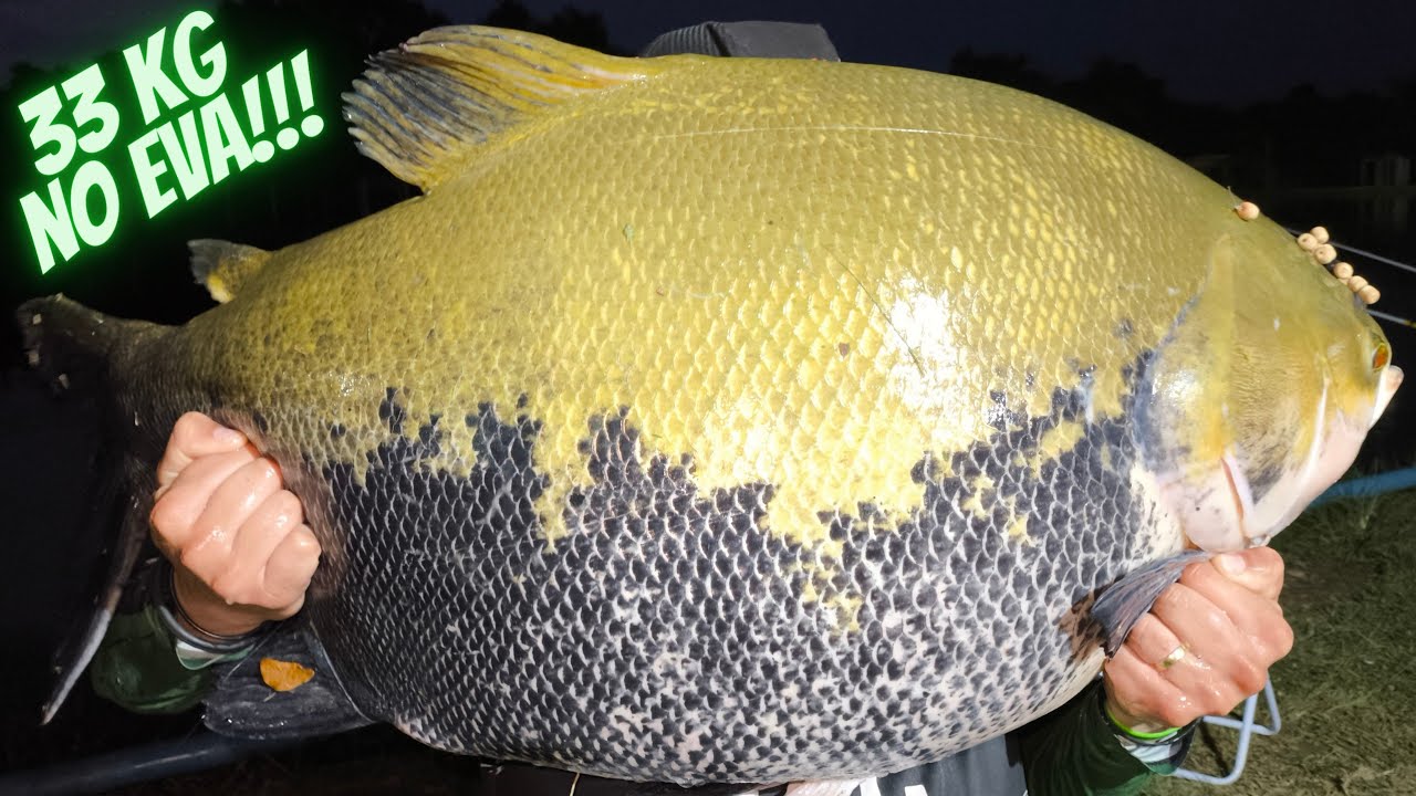 33 KG DE HULK NO EVA, ESSE LUGAR É SURREAL, Pesque Pague do Dim Jaraguá-GO