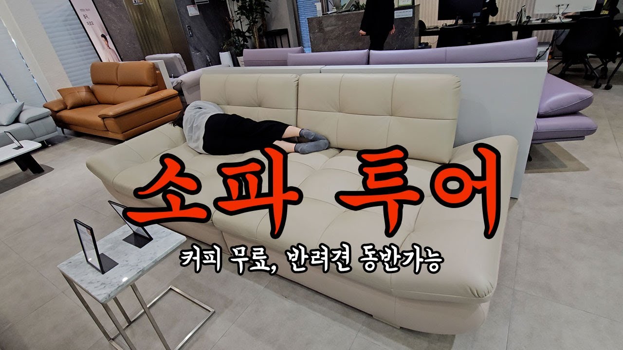자코모(JAKOMO), 에싸(ESSA) 소파 / 남양주 플래그십&리퍼브 아울렛 매장 방문!! 가성비 가구 (+애견동반가능, 커피무료)
