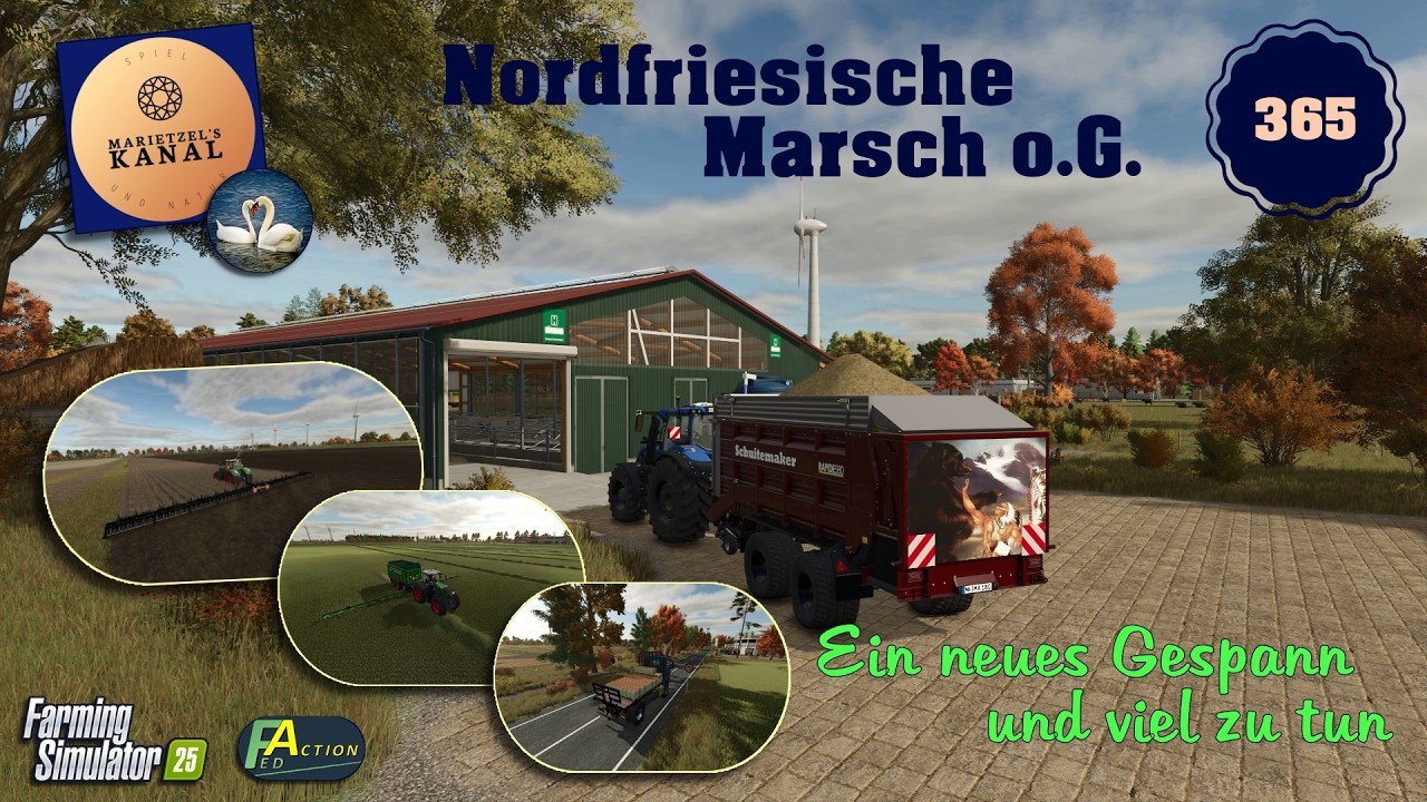 LS 25  Nordfriesische Marsch o.G.  - 365 - Ein neues Gespann und viel zu tun