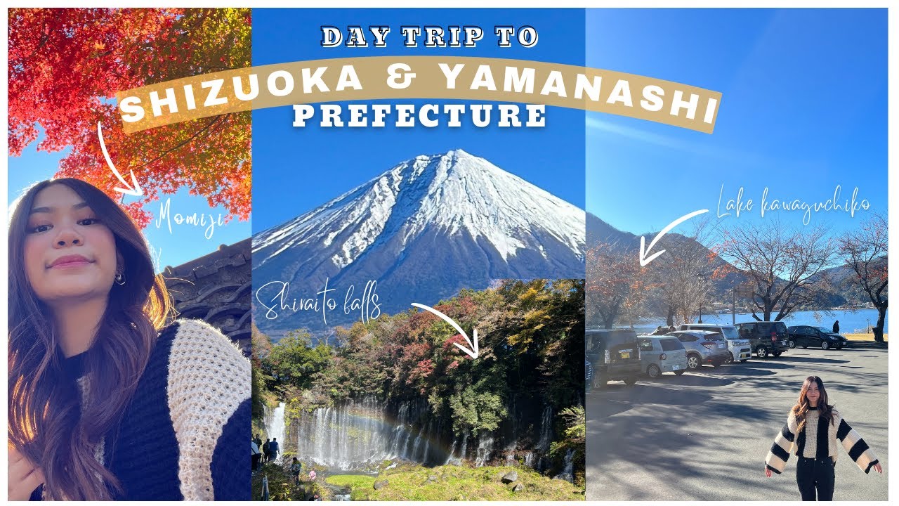 Japan Day Trip in Autumn