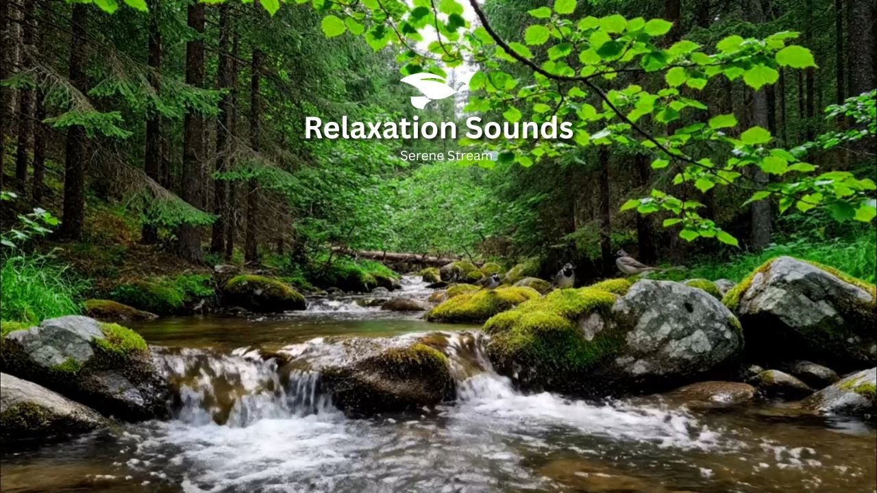 Sleep Like a Baby with Birds Chirping and River Flow Sounds