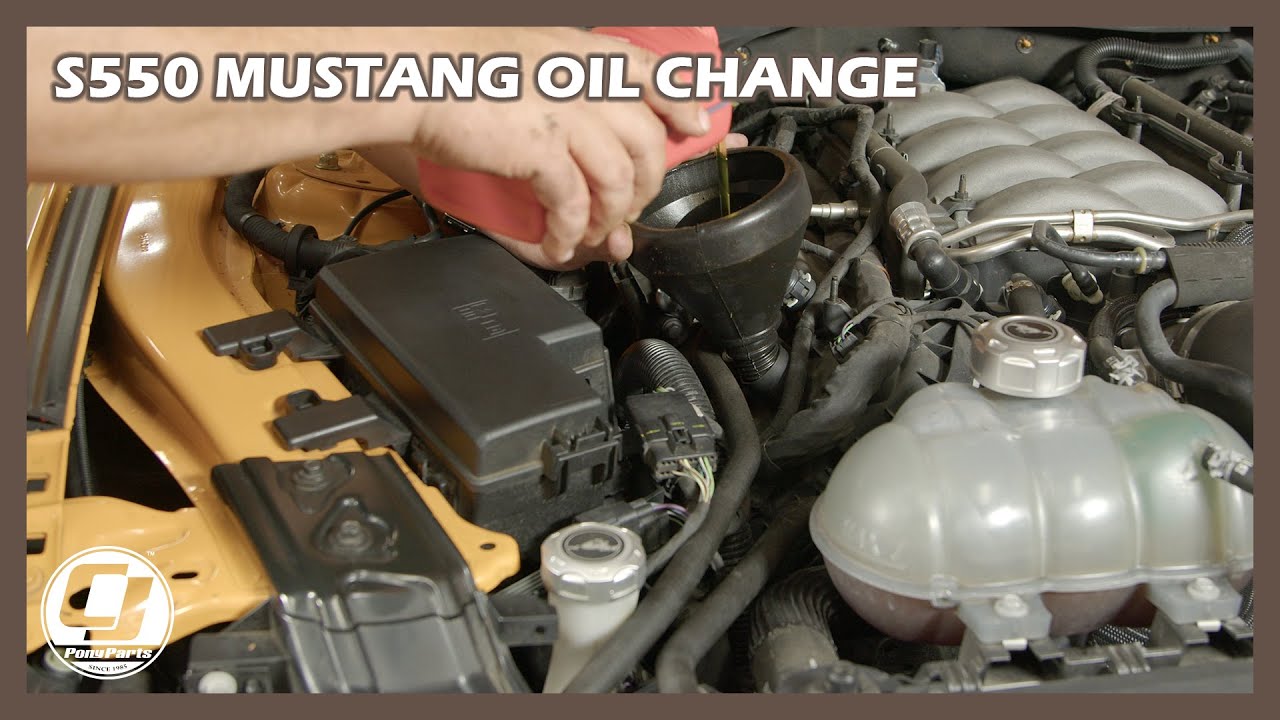 Oil Change Crash Course for Your S550 Mustang 🛠️🎓