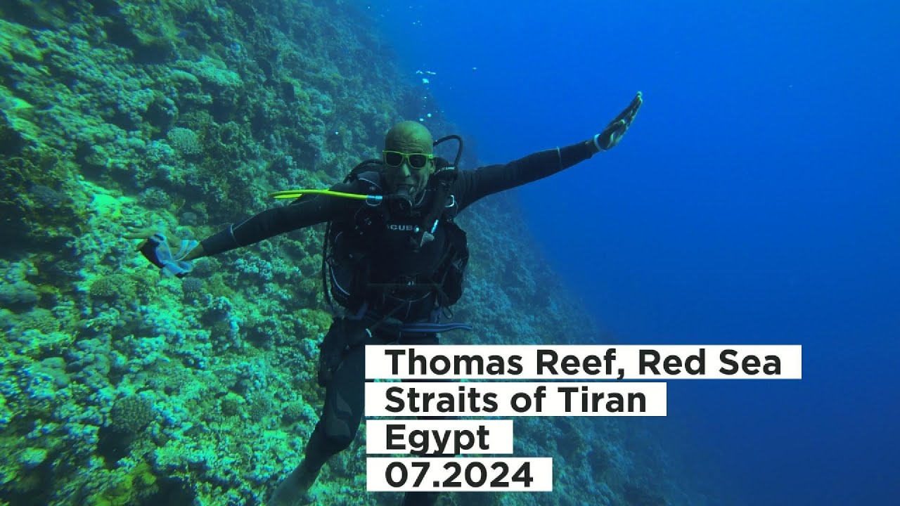 Thomas Reef, Red Sea, Straits of Tiran, Egypt Дайвинг в Красном море, Египет