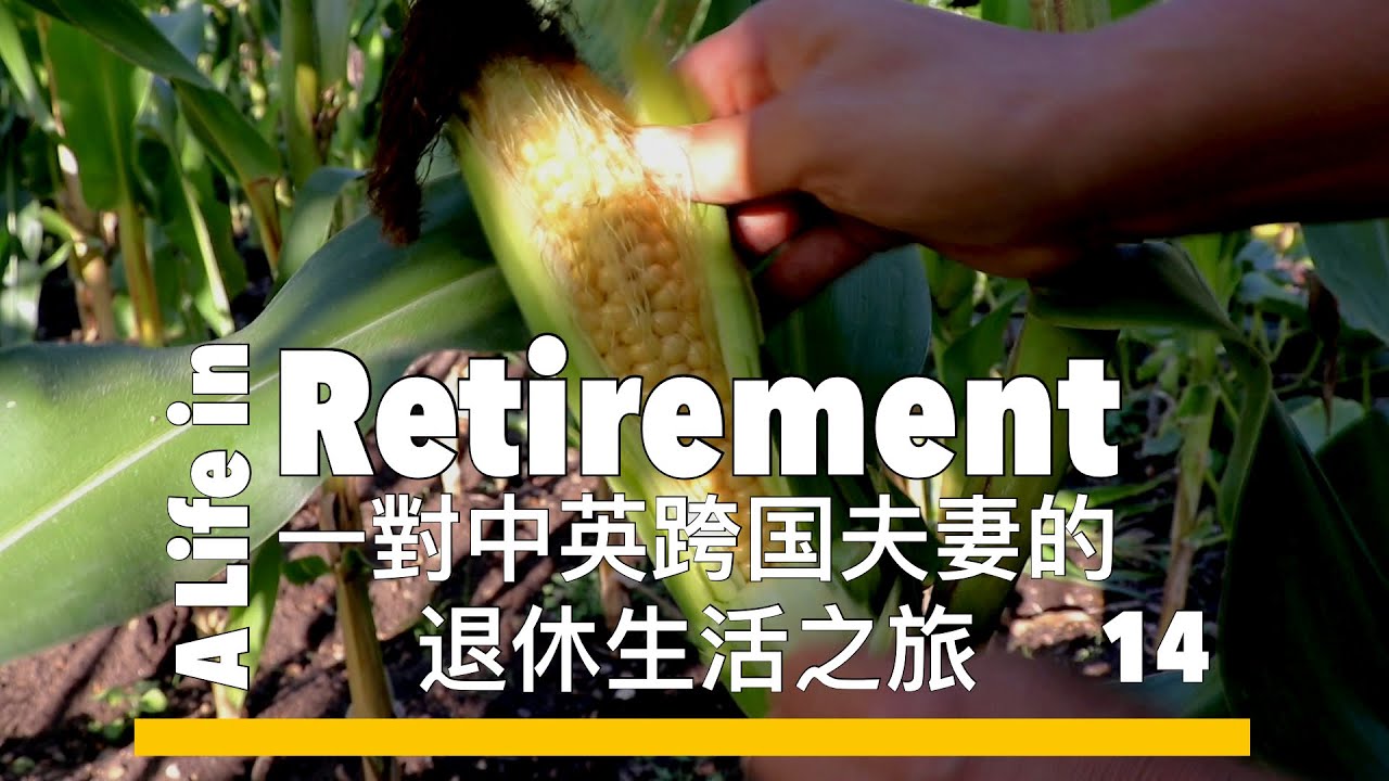A Life in Retirement - 14. An English Chinese couple's journey. 一對中英跨國夫妻的退休生活之旅 - 14.