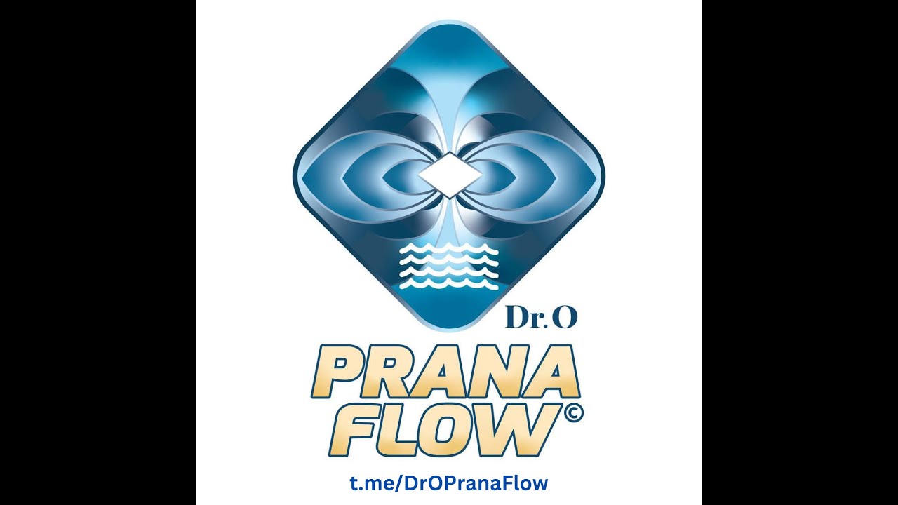 Конференция 7 Декабря 2024, часть  2 - ПранаФлоу как Технология Живого