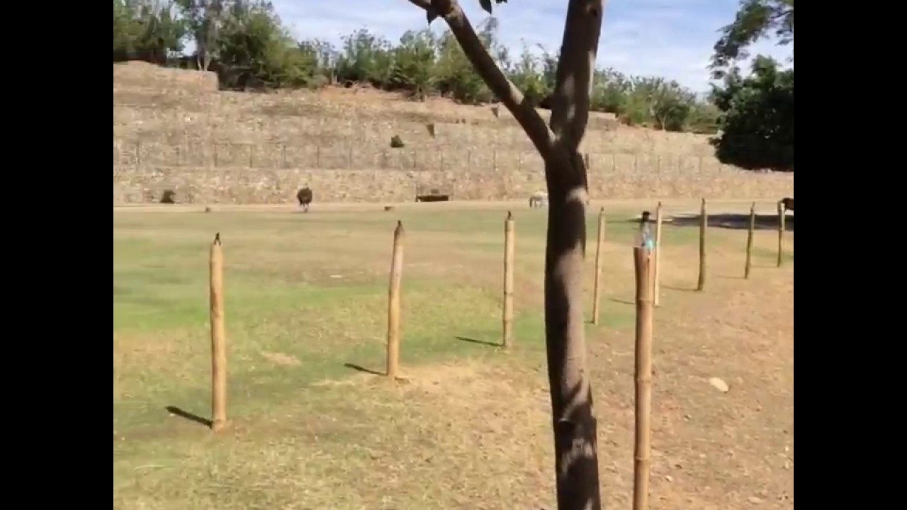 Baluarte in Vigan City Ilocos Sur Philippines