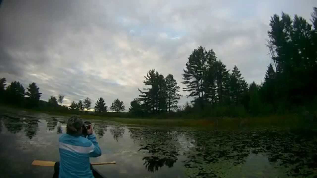 Achray Algonquin site 37, Barron Canyon,  Jack PineTrail,  Grand lake