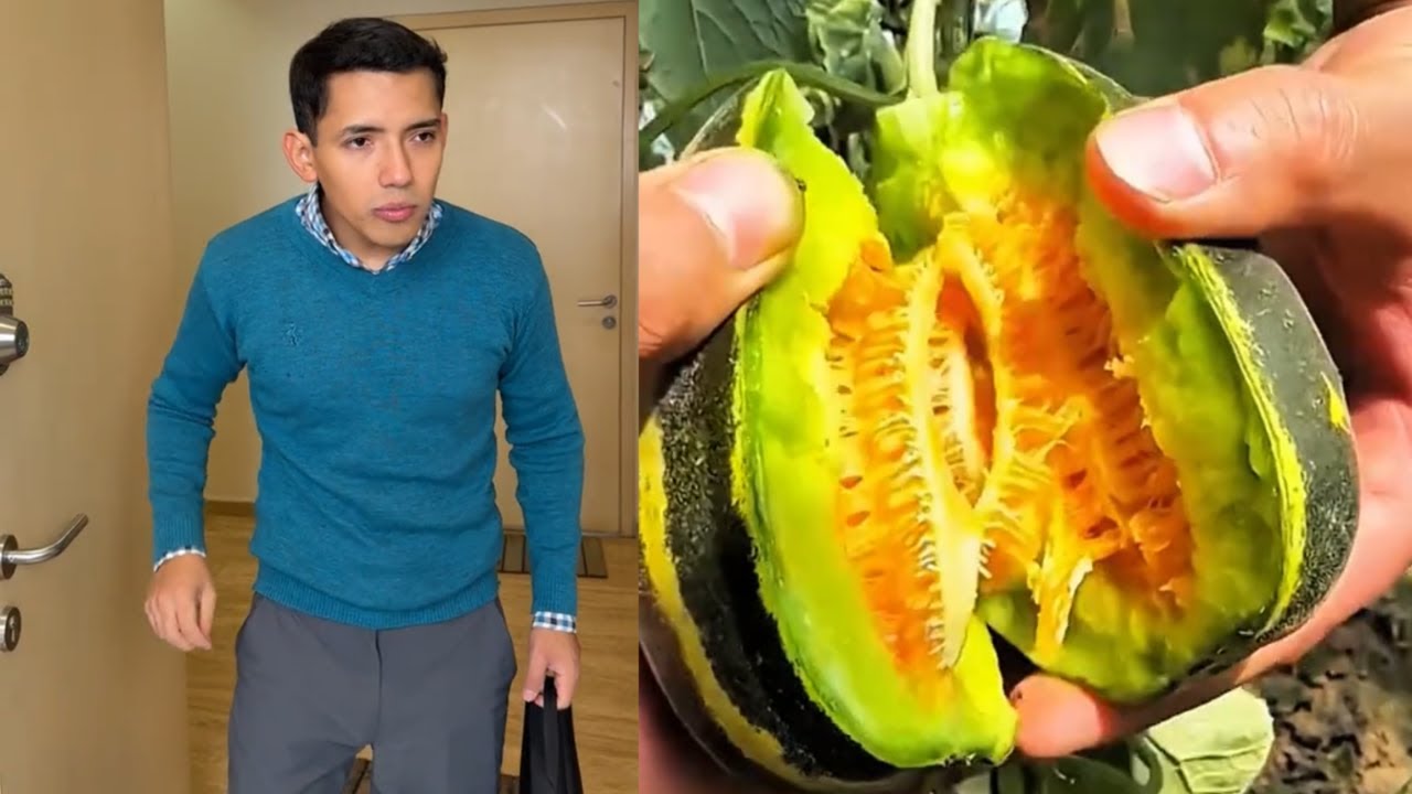 🌈 Rubén Tuesta Con Frutas 🤣 1 Hora De Los Mejores Tiktoks de @Rubén Tuesta #622