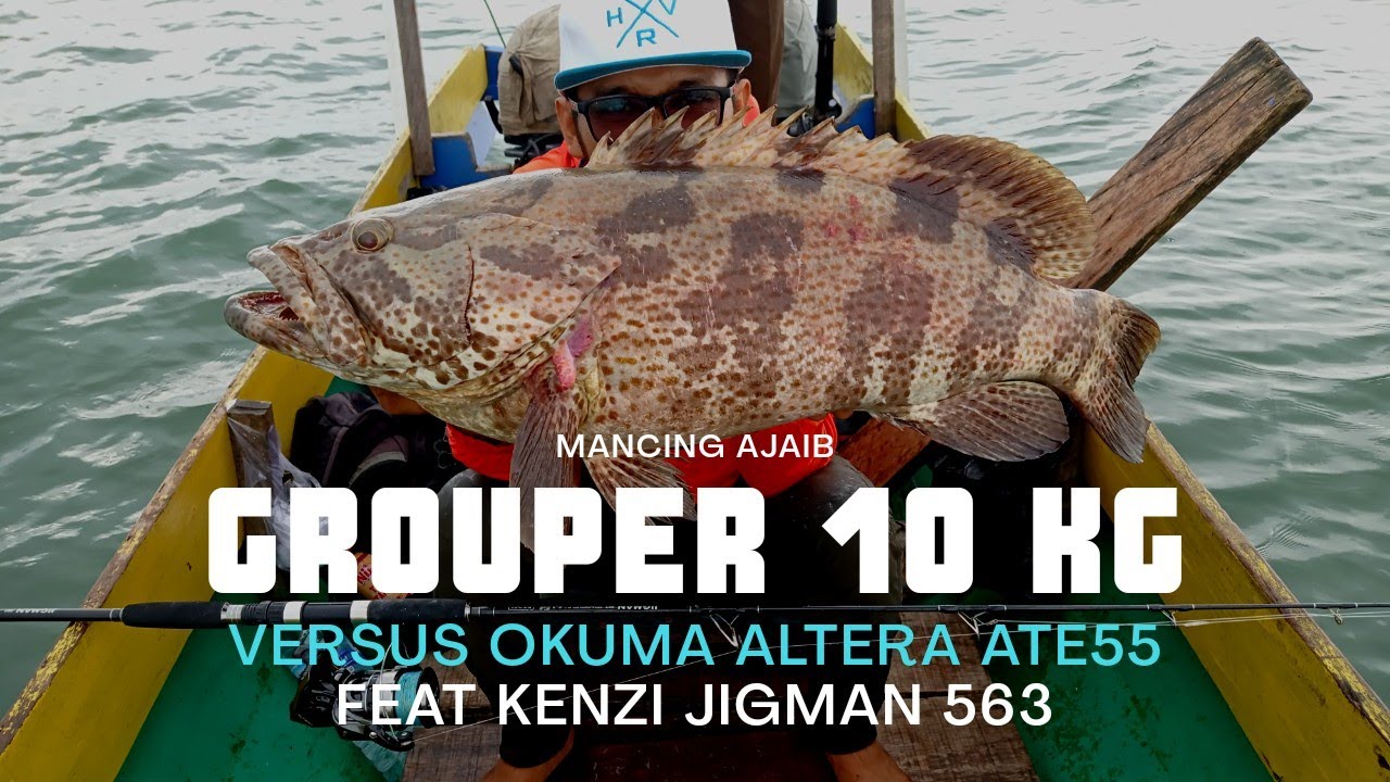 OKUMA ALTERA ATE55 feat KENZI JIGMAN 563 versus GROUPER 10 KILO @WAIKI