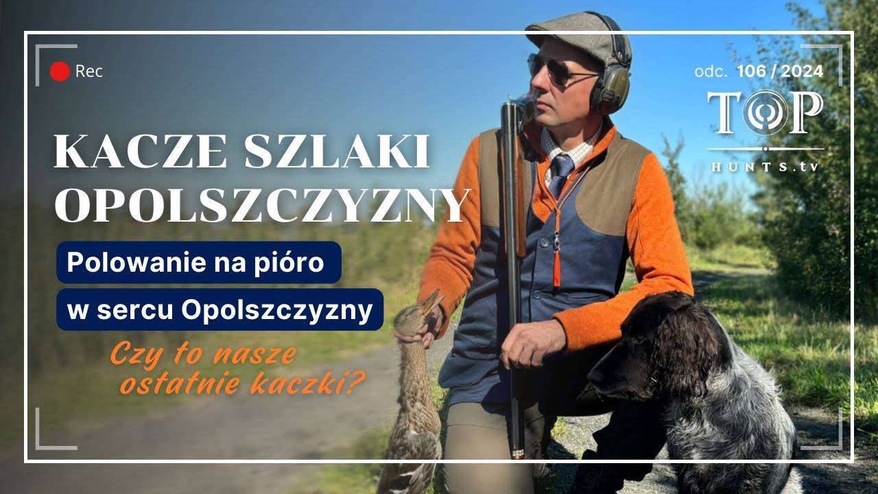 Ostatnie polowanie na kaczki w Polsce?