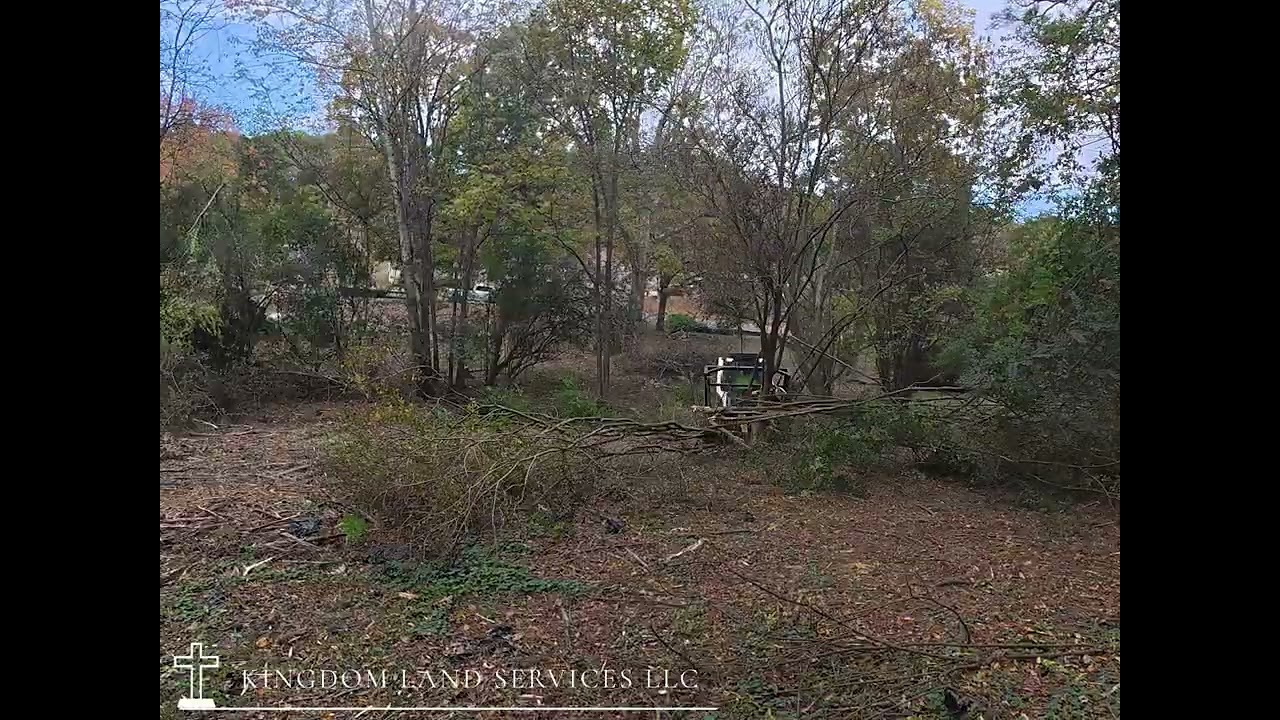 T86 + Fecon Forestry Mulching