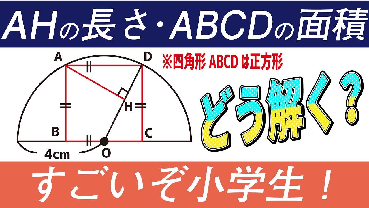【面白い算数問題】見抜く力！！中学入試 算数 面積 開智中