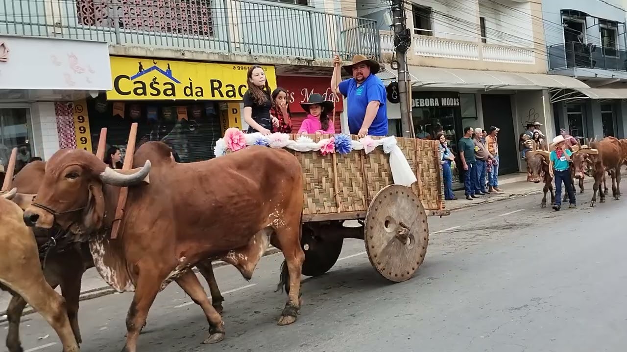 Carros De Bois Chegando Em Campestre MG No Centro