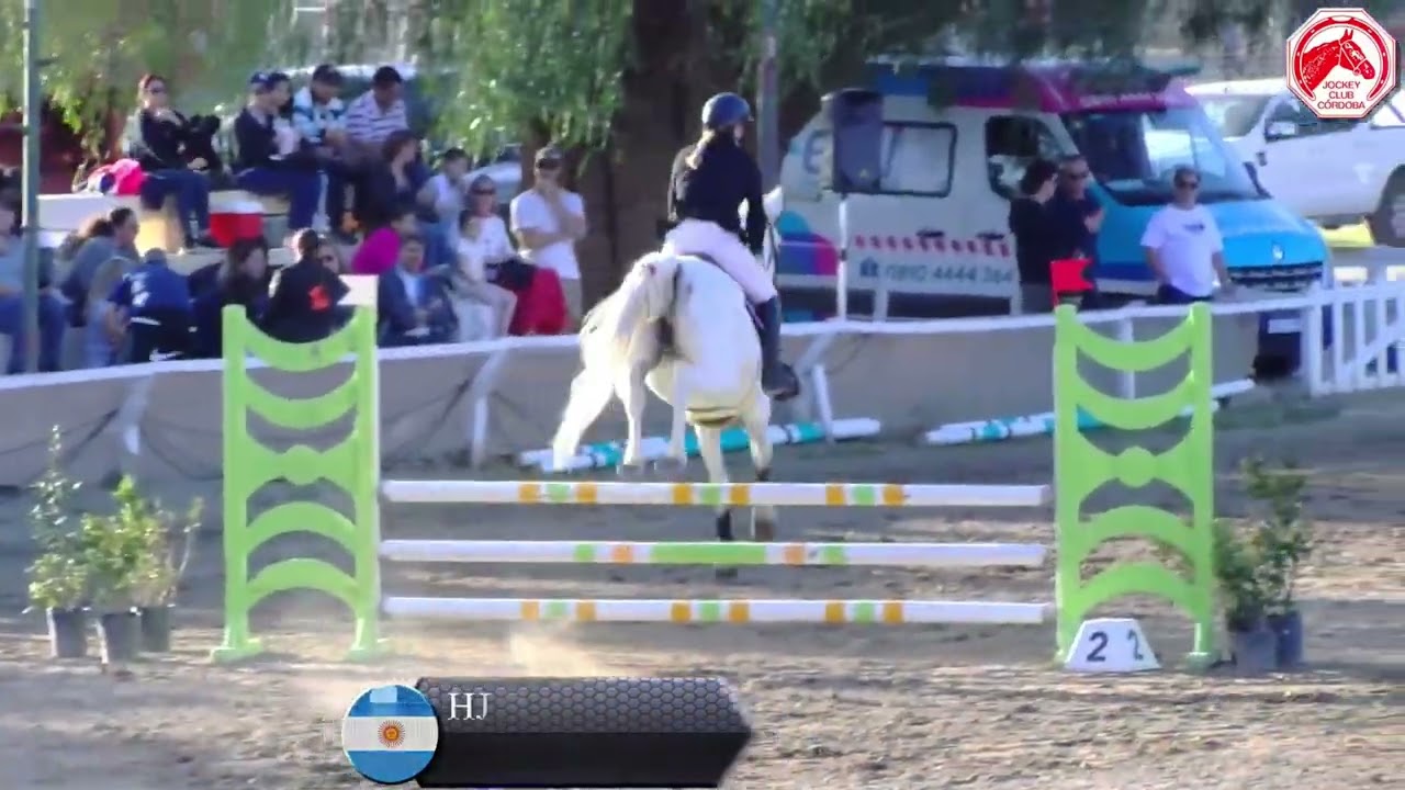 Henry Jota B campeonas 