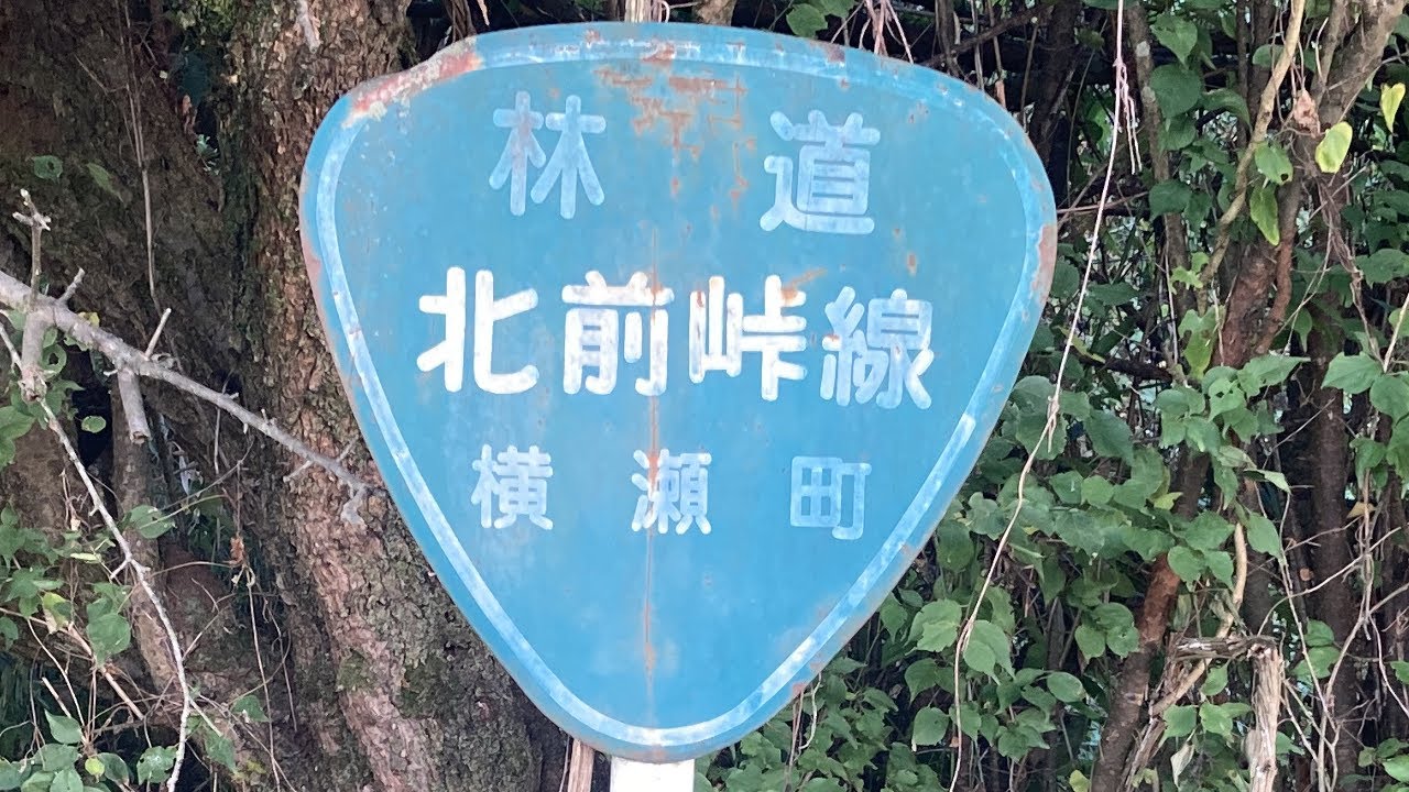[横瀬町]林道　北前峠線[埼玉県]