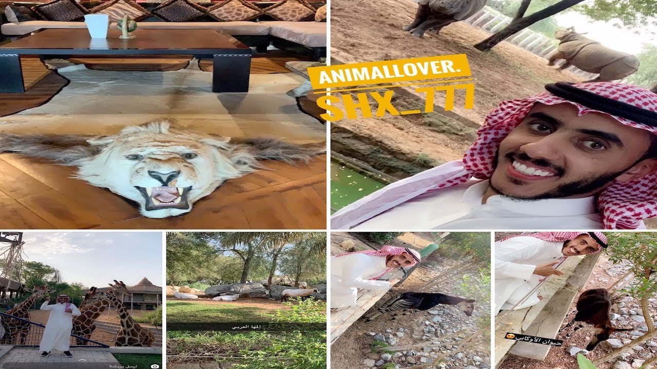 جولة في مكان خاص الله يبارك لصاحبه وأنواع نادره للحيوانات وزيتونه فرع الامارات ماشاء الله