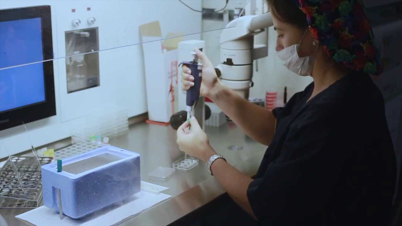 IVI Traitement de fertilité - Vitrificacion des ovocytes, techniques de préservation de la fertilité