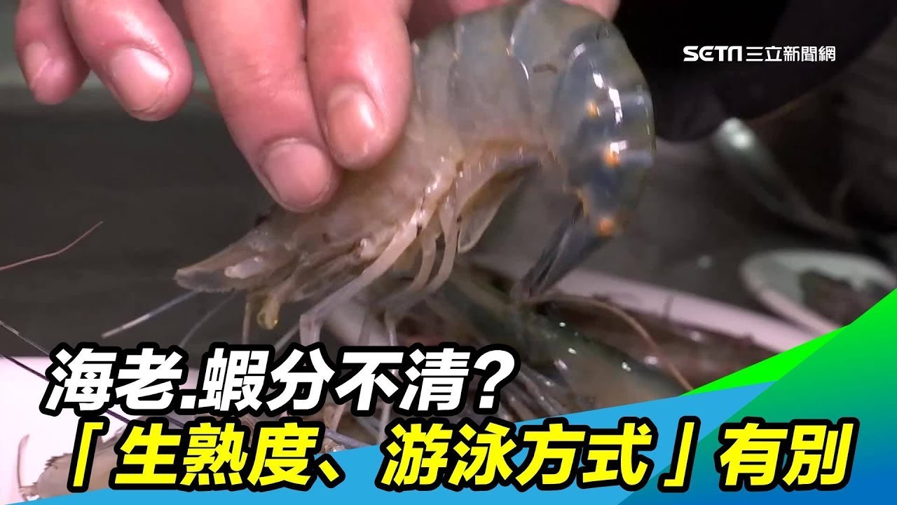 「海老」原來是這個意思！這幾種「蝦子」都被稱為「海老」｜祝你健康