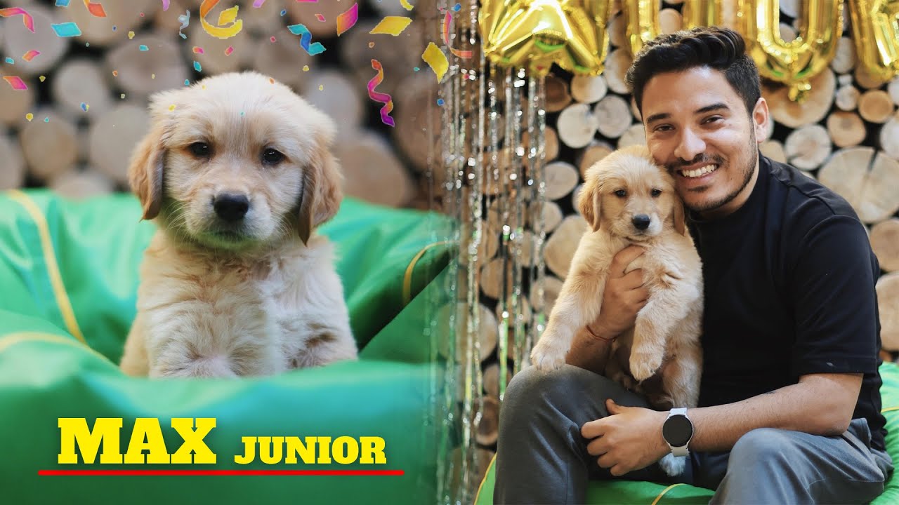 Story of our new Puppy | MAX Junior ❤️🎉🥳