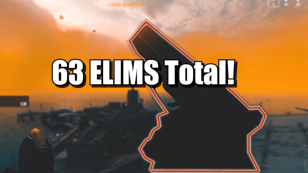 POV: You drop 63 elims on Rebirth Island (Classes in video)