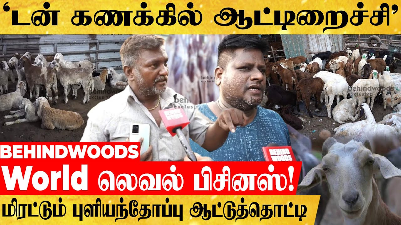 ஆட்டிறைச்சி சுரங்கம்.. திணற திணற கறி வேட்டை!! புகழ் பெற்ற புளியந்தோப்பு ஆட்டுத்தொட்டி LIVE VISIT