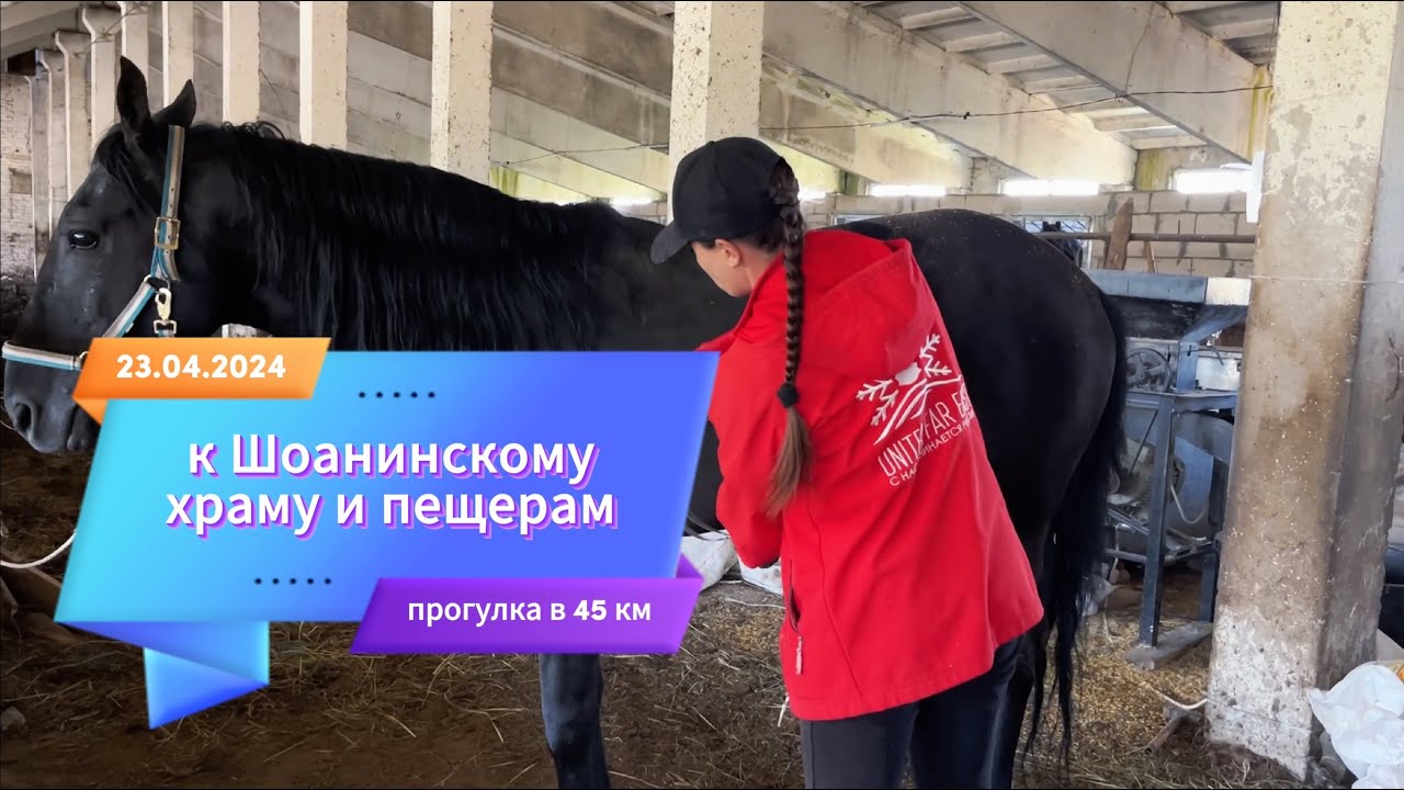 Прогулка к Шаонинскому Храму. Къ жеребцы Сокол, Имир и Мусафир