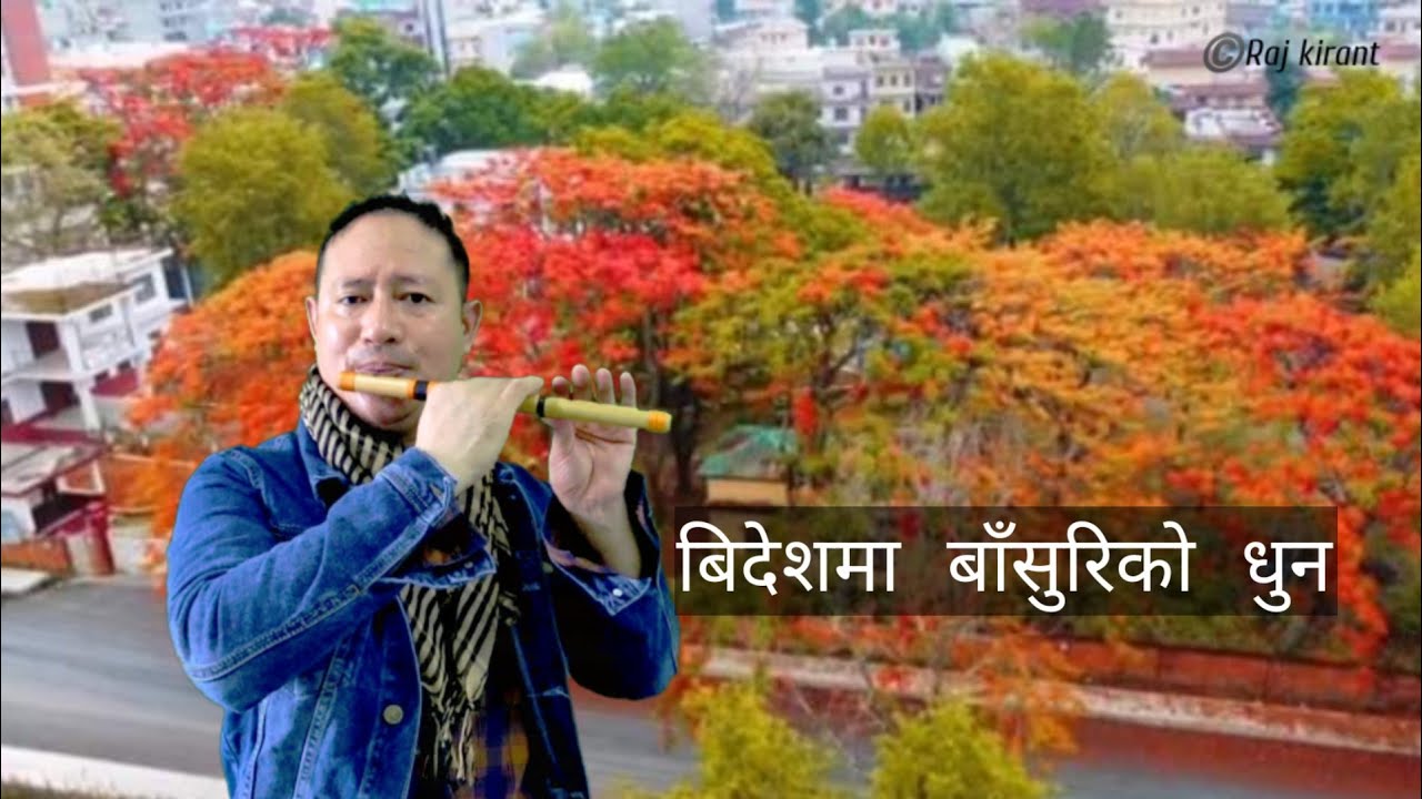 Bichhodko pida || Narayan gopal || bichodko peeda || maya khati || Raj kirant || flute cover