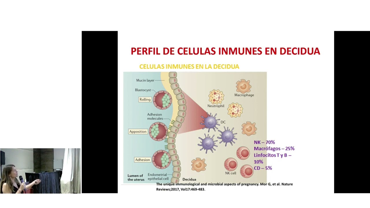 Factor inmunológico en infertilidad, ¿Lo estudiamos o no? - Simposio 2023 IN VITRO BA