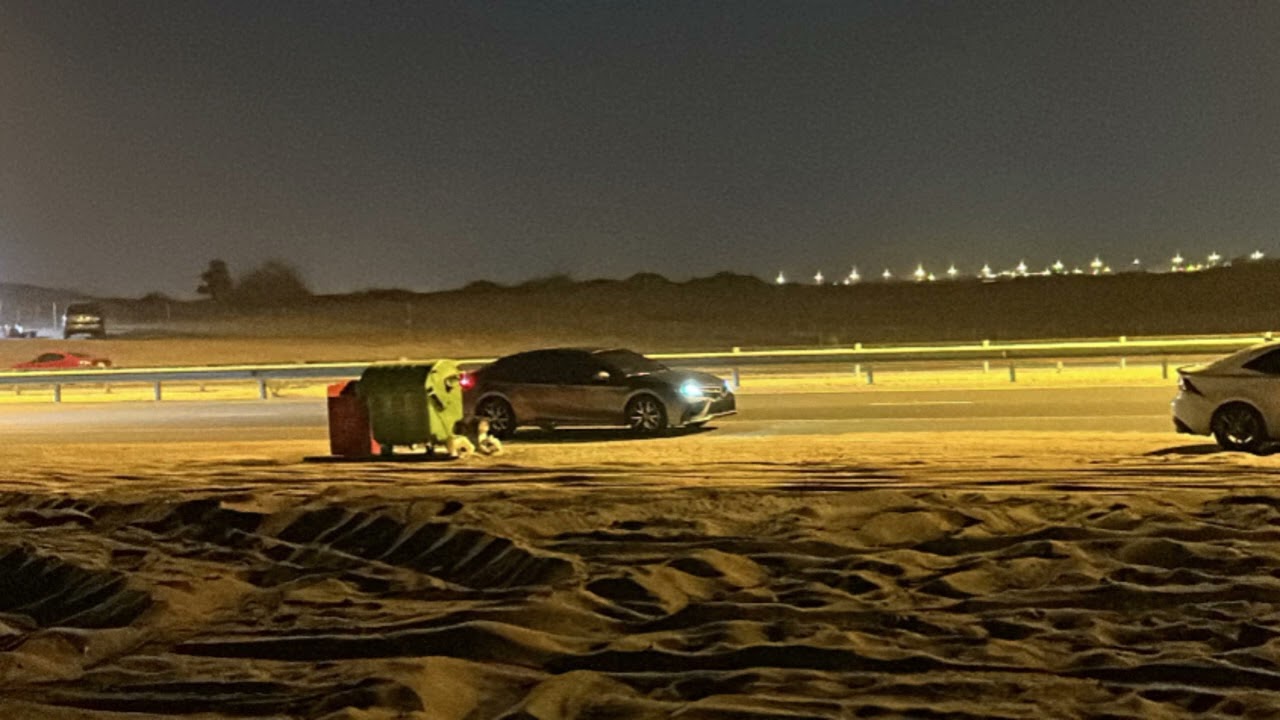 شلون يصير بطيء