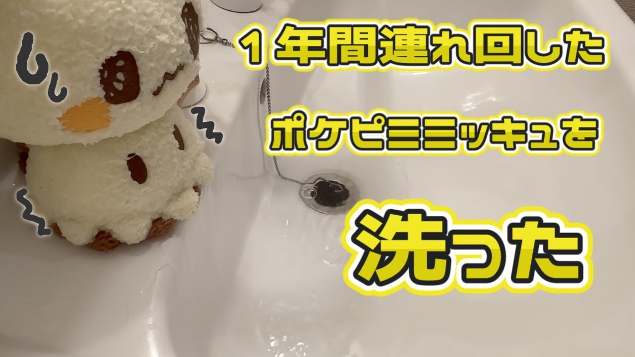 １年間ぬい活に使ったミミッキュを洗ってみた